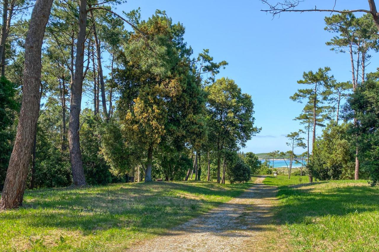 Somo Bungalow Resort - Camping Latas Exteriör bild